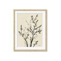 Picture of Shadow Botanical II _GroupedProduct_Rectangle_Portrait_Framed_Matted_