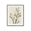 Picture of Shadow Botanical II _GroupedProduct_Rectangle_Portrait_Framed_Matted_