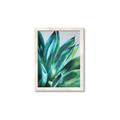 Picture of Extreme Succulent _GroupedProduct_Rectangle_Portrait_Framed_Matted_