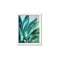 Picture of Extreme Succulent _GroupedProduct_Rectangle_Portrait_Framed_Matted_
