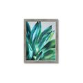 Picture of Extreme Succulent _GroupedProduct_Rectangle_Portrait_Framed_Matted_