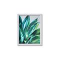 Picture of Extreme Succulent _GroupedProduct_Rectangle_Portrait_Framed_Matted_
