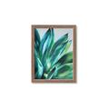 Picture of Extreme Succulent _GroupedProduct_Rectangle_Portrait_Framed_Matted_