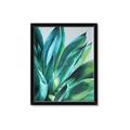 Picture of Extreme Succulent _GroupedProduct_Rectangle_Portrait_Framed_Matted_