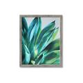 Picture of Extreme Succulent _GroupedProduct_Rectangle_Portrait_Framed_Matted_