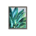 Picture of Extreme Succulent _GroupedProduct_Rectangle_Portrait_Framed_Matted_