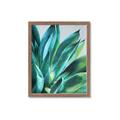 Picture of Extreme Succulent _GroupedProduct_Rectangle_Portrait_Framed_Matted_