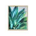 Picture of Extreme Succulent _GroupedProduct_Rectangle_Portrait_Framed_Matted_