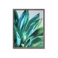 Picture of Extreme Succulent _GroupedProduct_Rectangle_Portrait_Framed_Matted_