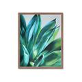 Picture of Extreme Succulent _GroupedProduct_Rectangle_Portrait_Framed_Matted_