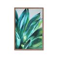 Picture of Extreme Succulent _GroupedProduct_Rectangle_Portrait_Framed_Matted_