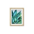 Picture of Extreme Succulent _GroupedProduct_Rectangle_Portrait_Framed_Matted_