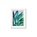 Picture of Extreme Succulent _GroupedProduct_Rectangle_Portrait_Framed_Matted_
