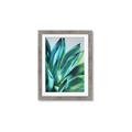 Picture of Extreme Succulent _GroupedProduct_Rectangle_Portrait_Framed_Matted_