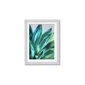 Picture of Extreme Succulent _GroupedProduct_Rectangle_Portrait_Framed_Matted_