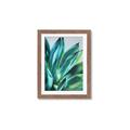 Picture of Extreme Succulent _GroupedProduct_Rectangle_Portrait_Framed_Matted_