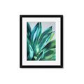 Picture of Extreme Succulent _GroupedProduct_Rectangle_Portrait_Framed_Matted_