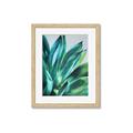 Picture of Extreme Succulent _GroupedProduct_Rectangle_Portrait_Framed_Matted_
