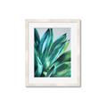 Picture of Extreme Succulent _GroupedProduct_Rectangle_Portrait_Framed_Matted_