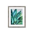 Picture of Extreme Succulent _GroupedProduct_Rectangle_Portrait_Framed_Matted_