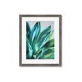 Picture of Extreme Succulent _GroupedProduct_Rectangle_Portrait_Framed_Matted_