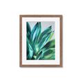 Picture of Extreme Succulent _GroupedProduct_Rectangle_Portrait_Framed_Matted_
