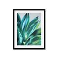 Picture of Extreme Succulent _GroupedProduct_Rectangle_Portrait_Framed_Matted_