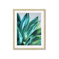 Picture of Extreme Succulent _GroupedProduct_Rectangle_Portrait_Framed_Matted_