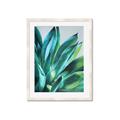 Picture of Extreme Succulent _GroupedProduct_Rectangle_Portrait_Framed_Matted_