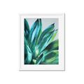 Picture of Extreme Succulent _GroupedProduct_Rectangle_Portrait_Framed_Matted_