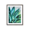 Picture of Extreme Succulent _GroupedProduct_Rectangle_Portrait_Framed_Matted_