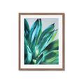 Picture of Extreme Succulent _GroupedProduct_Rectangle_Portrait_Framed_Matted_
