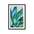 Picture of Extreme Succulent _GroupedProduct_Rectangle_Portrait_Framed_Matted_