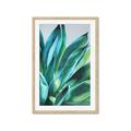 Picture of Extreme Succulent _GroupedProduct_Rectangle_Portrait_Framed_Matted_