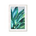 Picture of Extreme Succulent _GroupedProduct_Rectangle_Portrait_Framed_Matted_