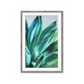 Picture of Extreme Succulent _GroupedProduct_Rectangle_Portrait_Framed_Matted_