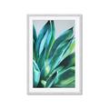 Picture of Extreme Succulent _GroupedProduct_Rectangle_Portrait_Framed_Matted_