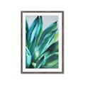 Picture of Extreme Succulent _GroupedProduct_Rectangle_Portrait_Framed_Matted_