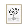 Picture of Black Vase Botanical II _GroupedProduct_Rectangle_Portrait_Framed_Matted_