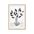 Picture of Black Vase Botanical II _GroupedProduct_Rectangle_Portrait_Framed_Matted_