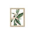 Picture of Leafy I _GroupedProduct_Rectangle_Portrait_Framed_Matted_