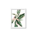 Picture of Leafy I _GroupedProduct_Rectangle_Portrait_Framed_Matted_