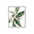 Picture of Leafy I _GroupedProduct_Rectangle_Portrait_Framed_Matted_