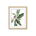 Picture of Leafy I _GroupedProduct_Rectangle_Portrait_Framed_Matted_