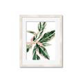 Picture of Leafy I _GroupedProduct_Rectangle_Portrait_Framed_Matted_