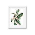 Picture of Leafy I _GroupedProduct_Rectangle_Portrait_Framed_Matted_