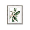 Picture of Leafy I _GroupedProduct_Rectangle_Portrait_Framed_Matted_