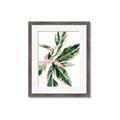 Picture of Leafy I _GroupedProduct_Rectangle_Portrait_Framed_Matted_