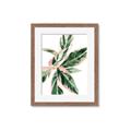 Picture of Leafy I _GroupedProduct_Rectangle_Portrait_Framed_Matted_