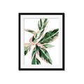 Picture of Leafy I _GroupedProduct_Rectangle_Portrait_Framed_Matted_